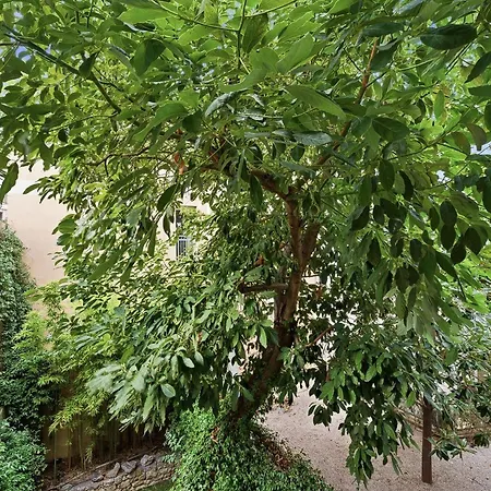 Le Vauban Antibois - Avec Jolie Balcon Lejlighed